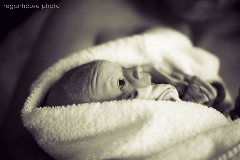 centralia olympia washington family newborn birth baby photography